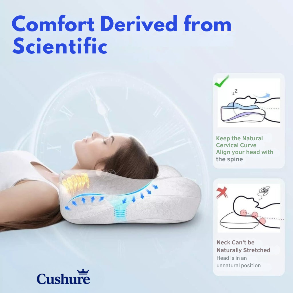 Orthopedic Pillow 2.0